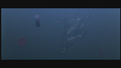 The rare and elusive Loch Ness Mongrel.